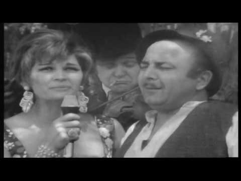 Silvana Armenulić - Ja nemam prava nikoga da volim / insert iz serije Ljubav na seoski način