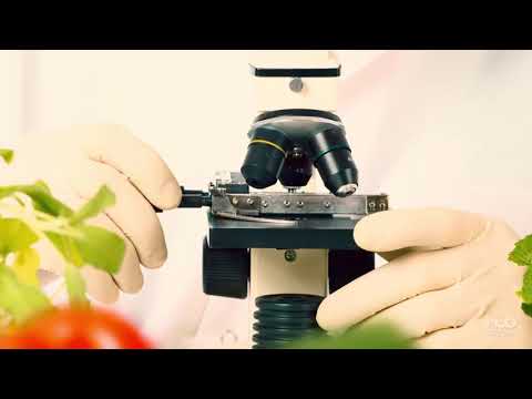Agricoltura e OGM