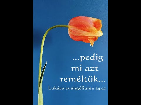 Húsvéti képeslap - 2025