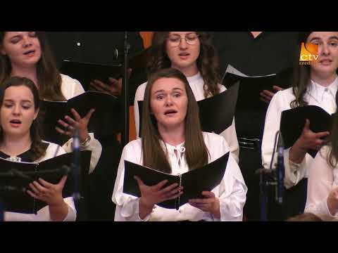 Consonantis - Un rob