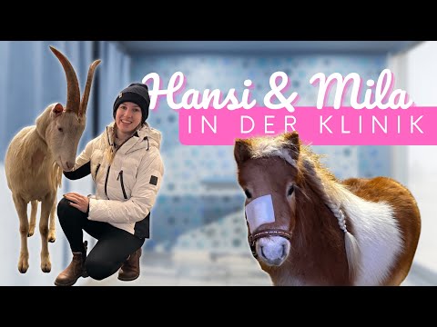 Hansi & Mila in der KLINIK😱