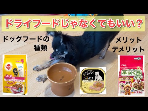 ドッグフードの種類とメリット