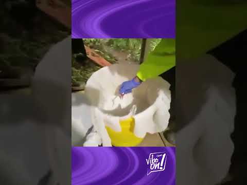 Golpe clave en Norte de Santander