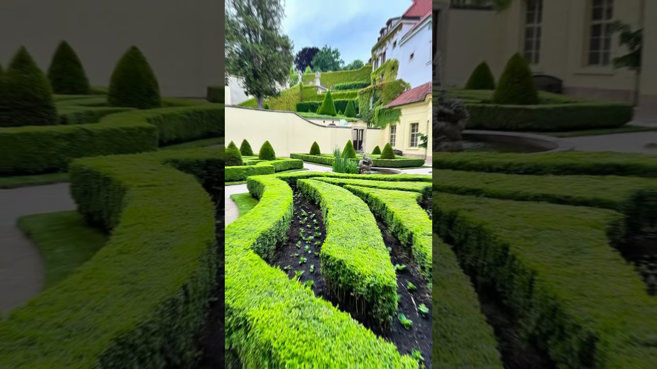 YouTube Short thumbnail