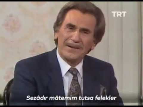 Recep Birgit. Nihansın Dideden. #recepbirgit