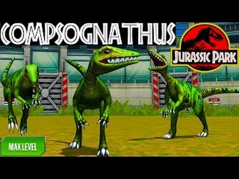 COMPSOGNATHUS Dinosaur MAX LEVEL 40 Jurassic Park Builder Battle Stage Fight INDOMINUS REX