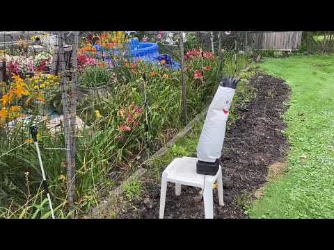 Lewis Daylily Garden 8-15-21