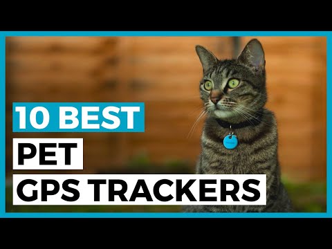 Best Pet Gps Trackers in 2022 - How to find a Tracker for Your Pets?