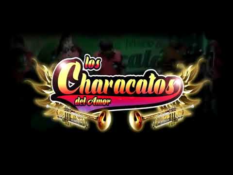 LOS CHARACATOS DEL AMOR - 17 AÑOS (AUDIO OFICIAL) 2019 **SB PRODUCCIONES**
