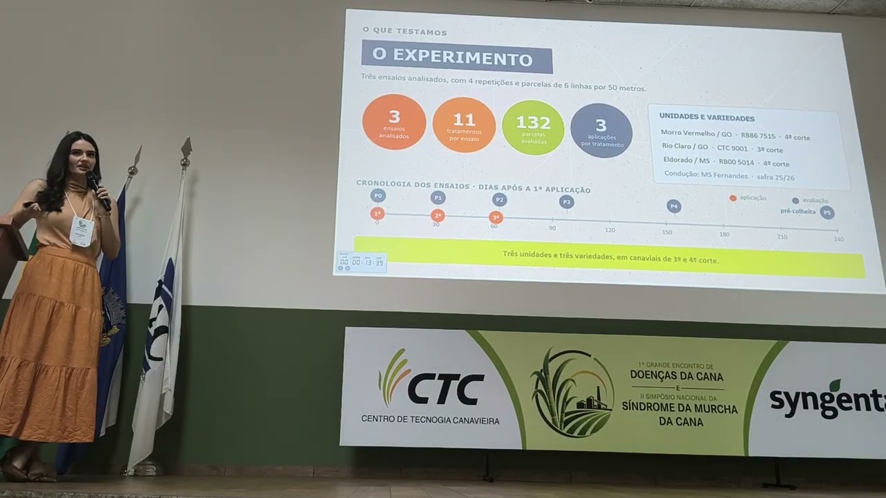 Murcha da cana muda expectativa de safra na Atvos e reforça busca por estratégias de manejo