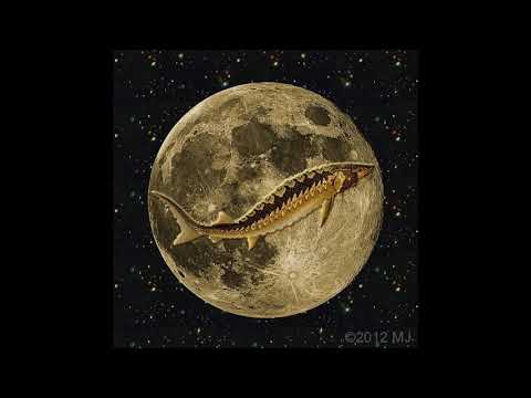 Replay of Sturgeon Full moon - Shamanic journey into ancient wisdom