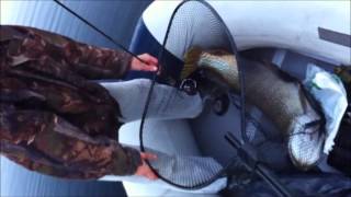 preview picture of video 'Giant pike in Norway 2012'
