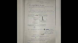 class 8th social chapter 3 ruling the countryside part 1 the compant becomes the diwan#𝕤𝕥𝕦𝕕𝕪𝕥𝕚𝕞𝕖