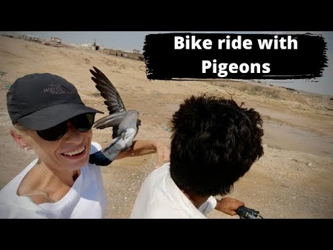 Balochistan, Gadani beach: motorcycle ride with locals and a Pidgeon!