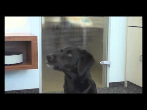 Filme aus PANs Studio - Optik Bösche