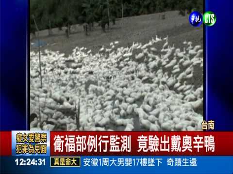 查到戴奧辛鴨沒公布 衛福部隱匿?