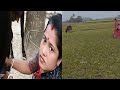 Cow Milking Video Cow Milking Cow Milking By Hand Beautiful Woman Milking Cow