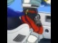Portuguese Farting Falco