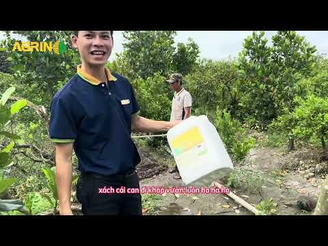 Phân Hữu Cơ Pháp -  Tái tạo cấu trúc đất, Tốt cây khỏe đất, hiệu quả, bền lâu