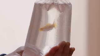 Hang On (rester là)