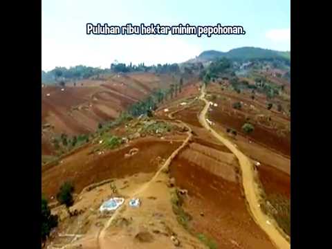 Kawasan Bandung Utara butuh jutaan bibit buah #bandung