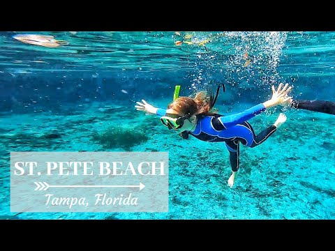 image-Is St Petersburg good for snorkeling?