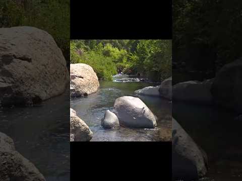 🌿 El MEJOR panorama en Santiago: Santuario de la Naturaleza 🌊
