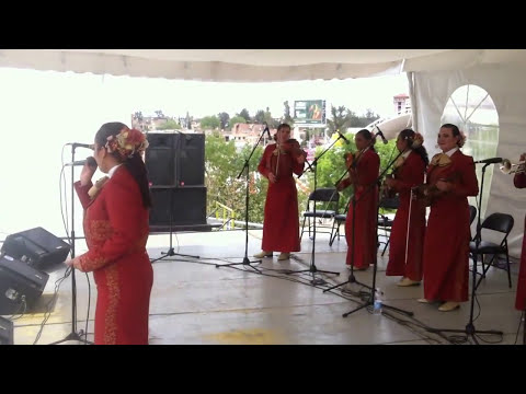 MARIACHI FEMENIL NUEVO TECALITLAN,  VIVA QUIEN SABER QUERER, AGUASCALIENTES