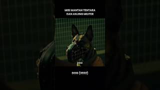 Download lagu Perjalanan mantan tentara membawa anjing militer ke pawangnya ‼️ #alurceritafilm #shorts mp3