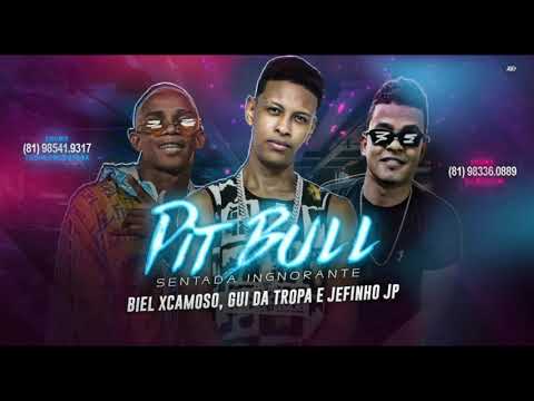 BIEL XCAMOSO, GUI DA TROPA E JEFINHO JP - PIT BULL ( MÚSICA NOVA )