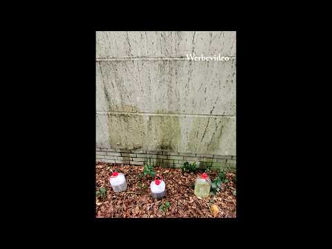 Teil1,Test 60 Fach Algen-und Grünbelagentferner, Steinreiniger/Fassadenreiniger S, A.K.B. Steinreich