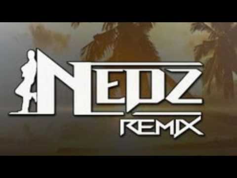 Seini Noqu Daulomani _ DJ N3dz R3miX