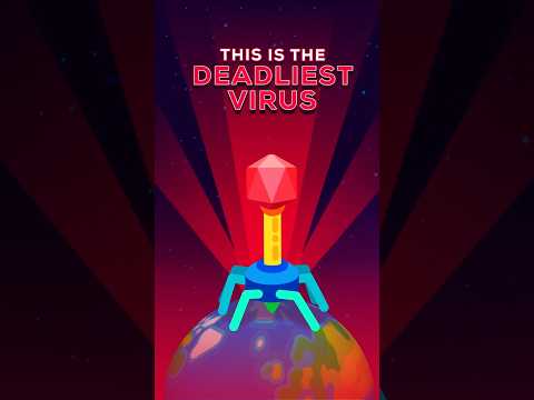This Is the Deadliest Virus on Earth