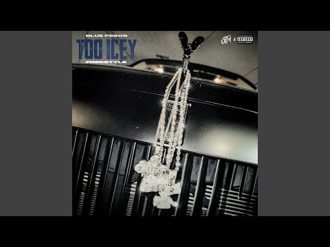 Too Icey (Freestyle)