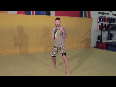 John Kavanagh Lists Opponents For Conor McGregor To Fight