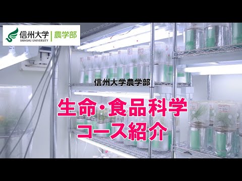 農学生命科学科 【信州大学農学部2025年4月～コース再編】生命・食品科学コース