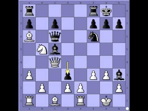 Brza i spektakularna igra - BOBOTSOV vs LARSEN - Engleska partija # 530