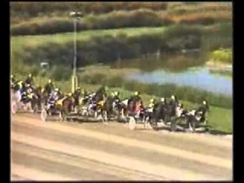 Svenskt Trav Derby 1990 -Queen L.