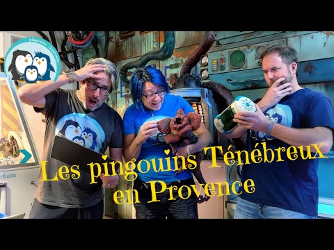 Aperçu de la vidéo