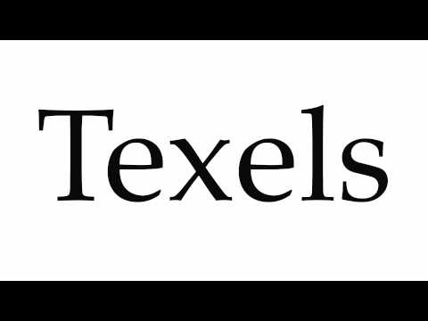 How to Pronounce Texels