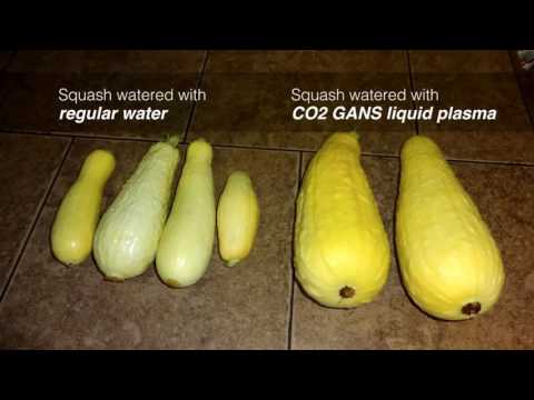 171st Knowledge Seekers Workshop, May 11, 2017 (Full ZOOM recording)