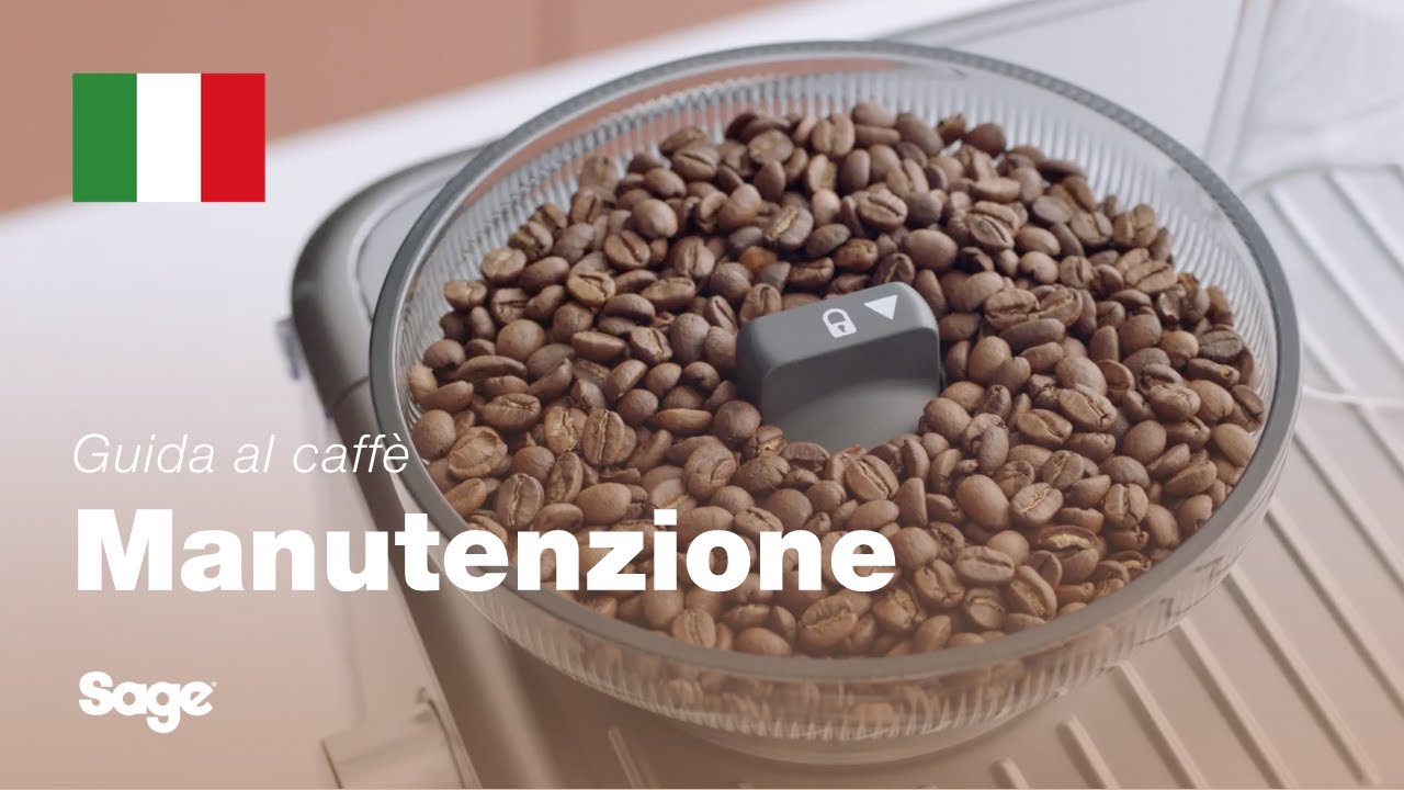 Come pulire le frese coniche del macinacaffè