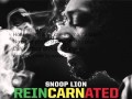 Snoop Lion feat. Jahdan Blakkamoore - Harder Times (lyrics on screen)