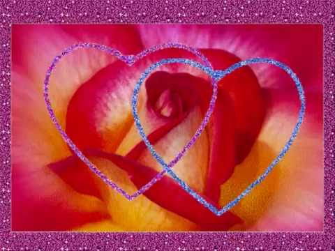 Supra Sumo Do Amor video