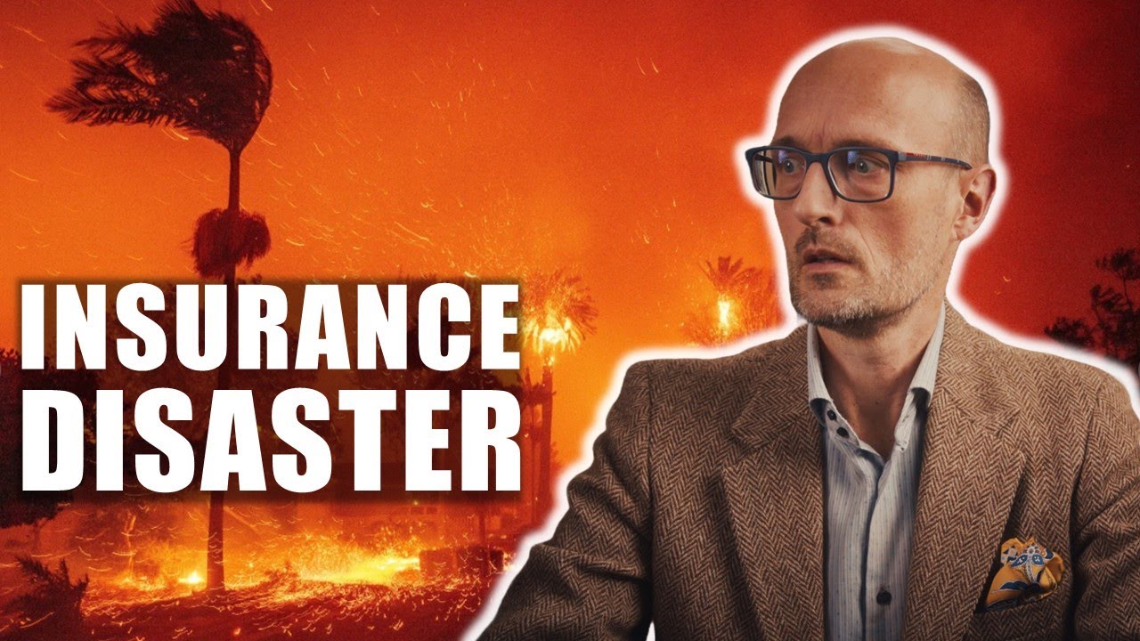 The Economic Toll of The Los Angeles Wildfires