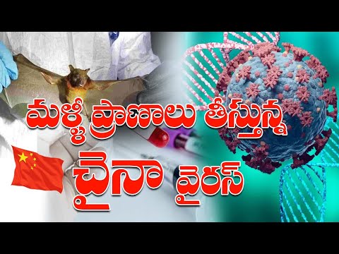 NEW VIRUS FROM CHINA / WHO/ MURDER & ROBERY / IPS TRANSFER | HS 24 NEWS TELUGU