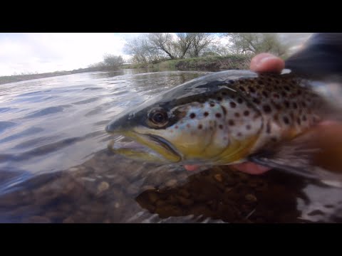 Fly Fishing River Dove April 2021