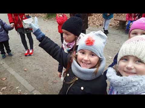 Gołuchów - ciekawa lekcja przyrody