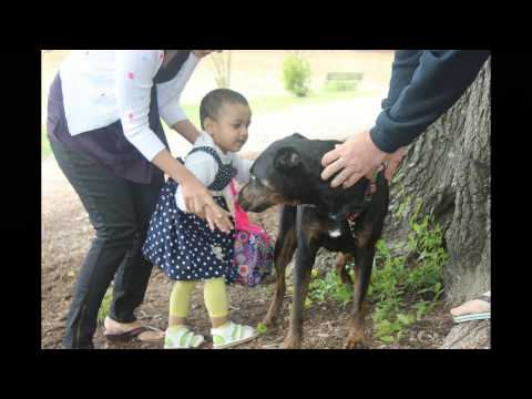 Shanaya's Second Birthday......