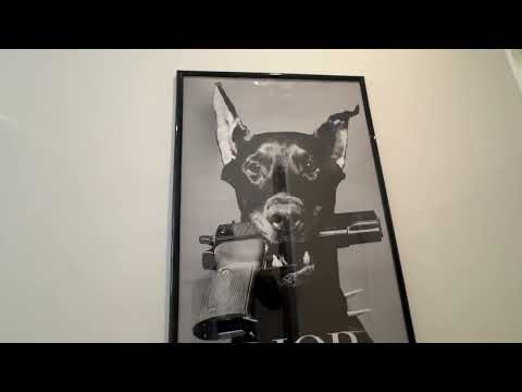 video 1